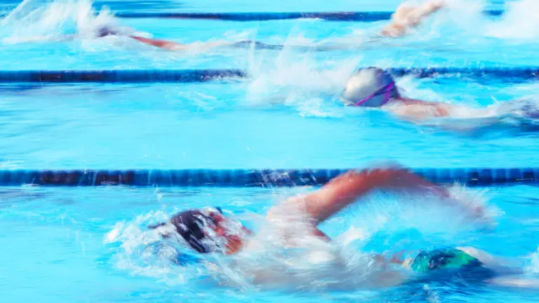 A group of swimmers in a swimming pool competing to determine the fastest swimming stroke.