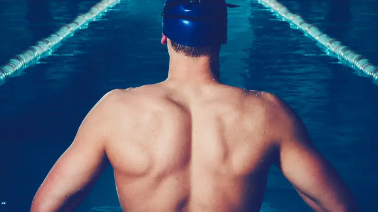 Swimmer's back muscles in a swimming pool.